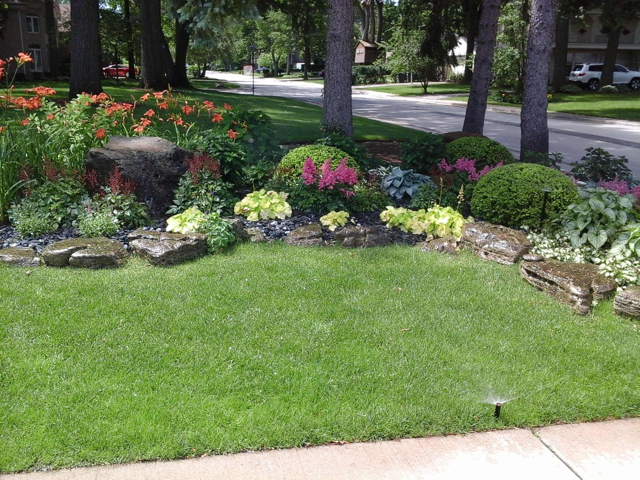 Avatar for Daily Rain Inc.